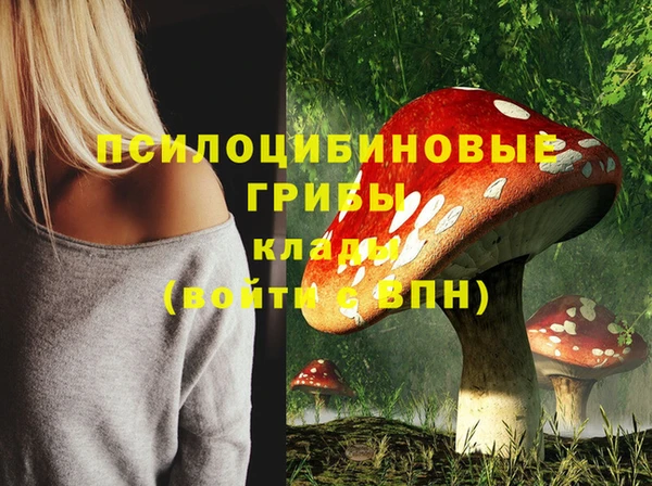 трава Баксан