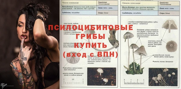 трава Баксан